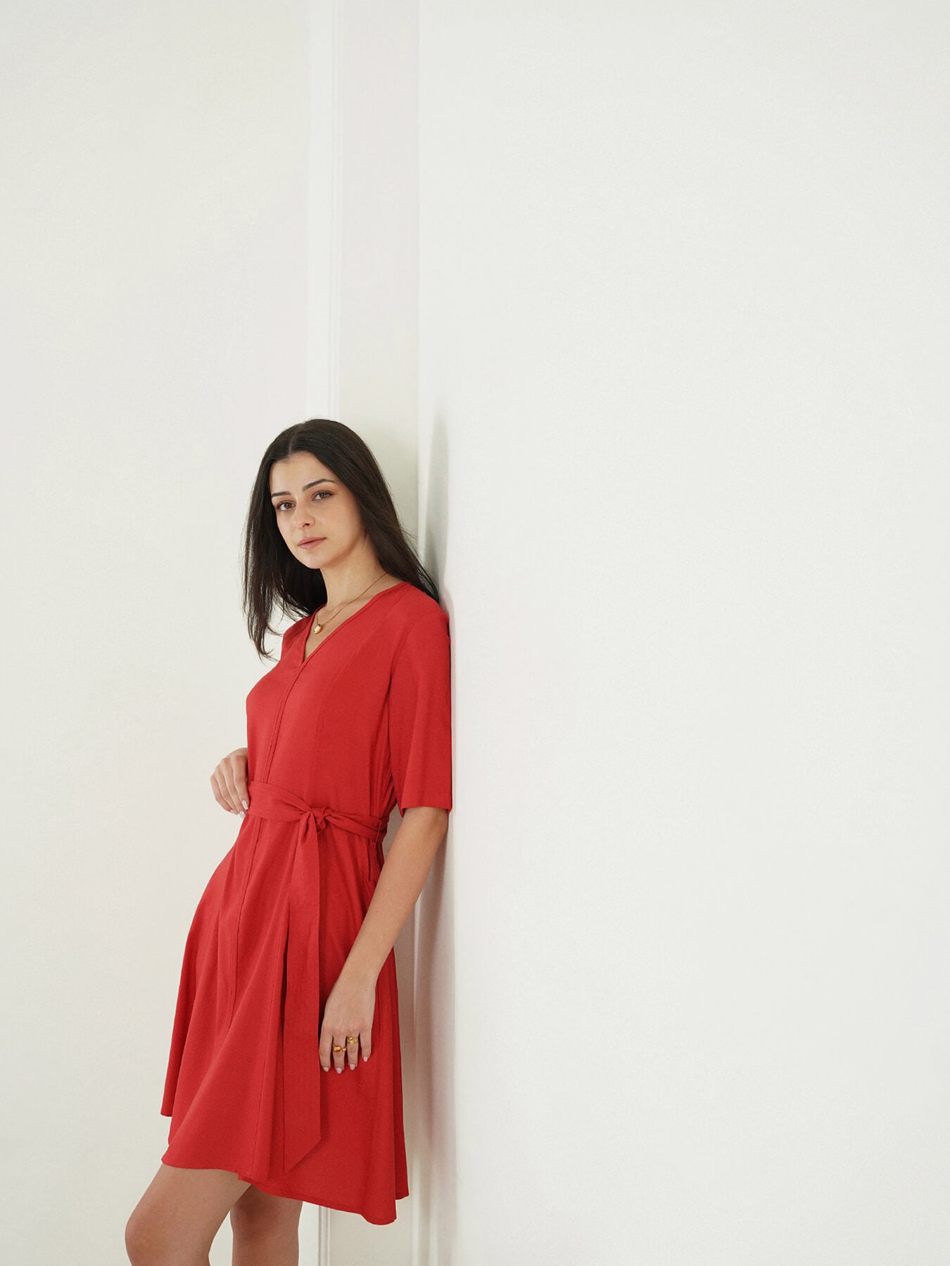 Viscose Fit and Flare Dress - Rust