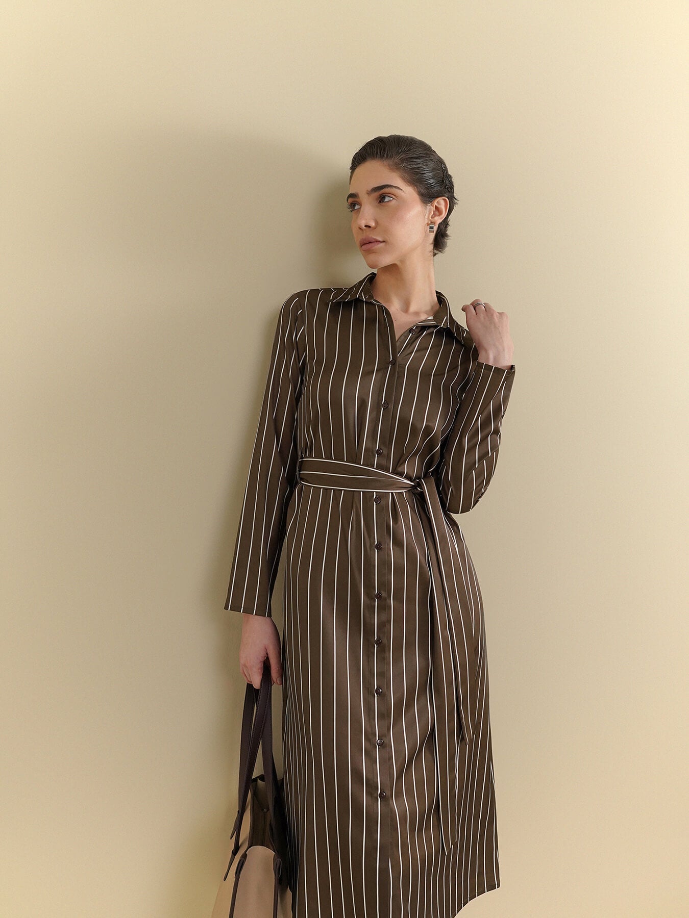 Striped Shirt Dress - Brown