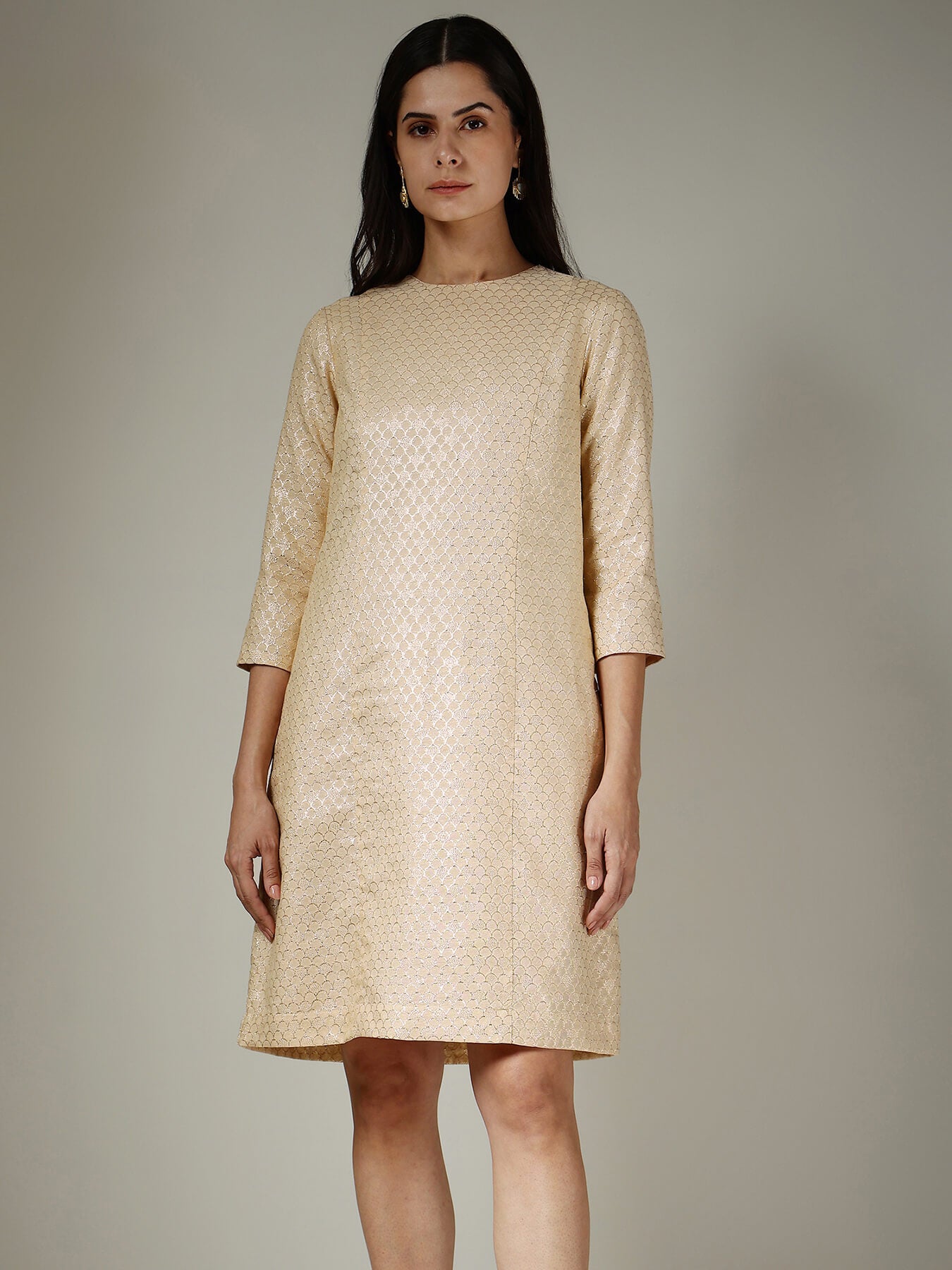 Brocade A-Line Dress - Beige