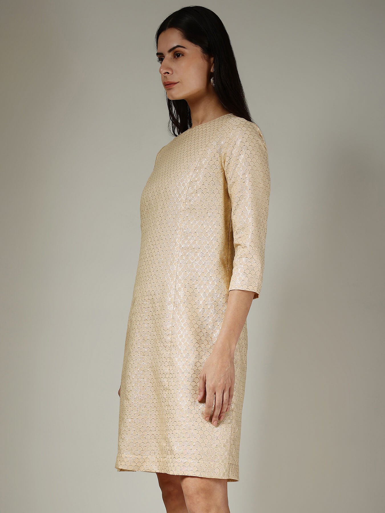 Brocade A-Line Dress - Beige