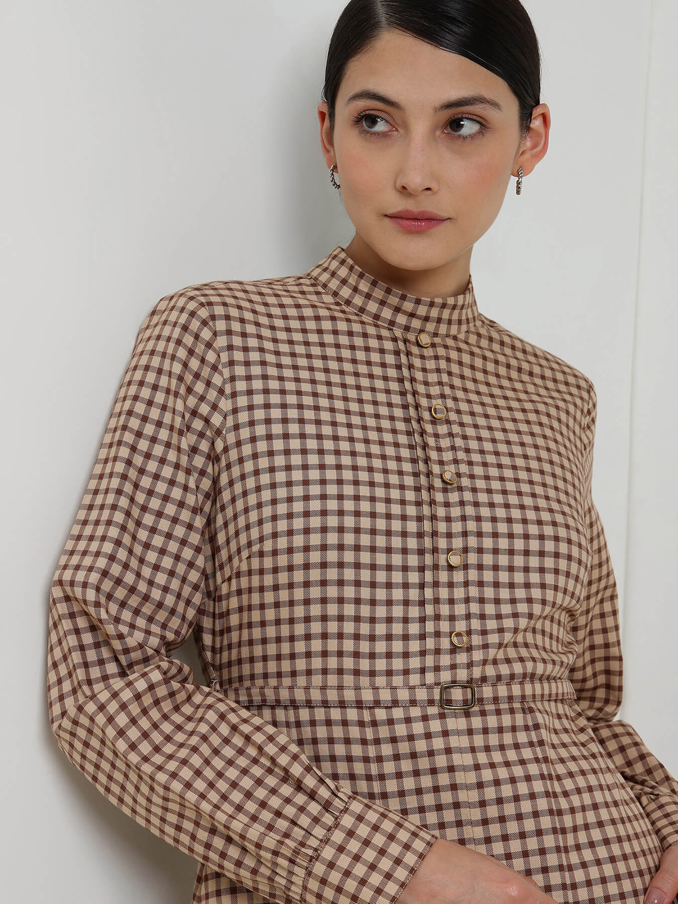 Cotton Fit & Flare Gingham Dress - Brown