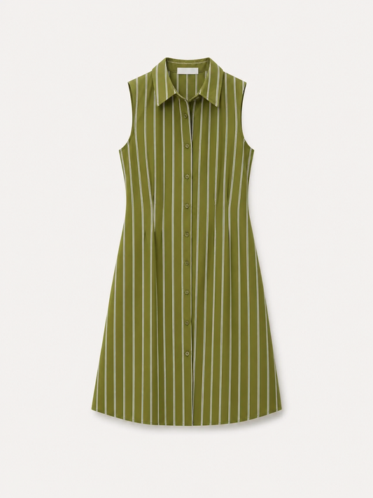 Striped Fit and Flare Dress - Olive