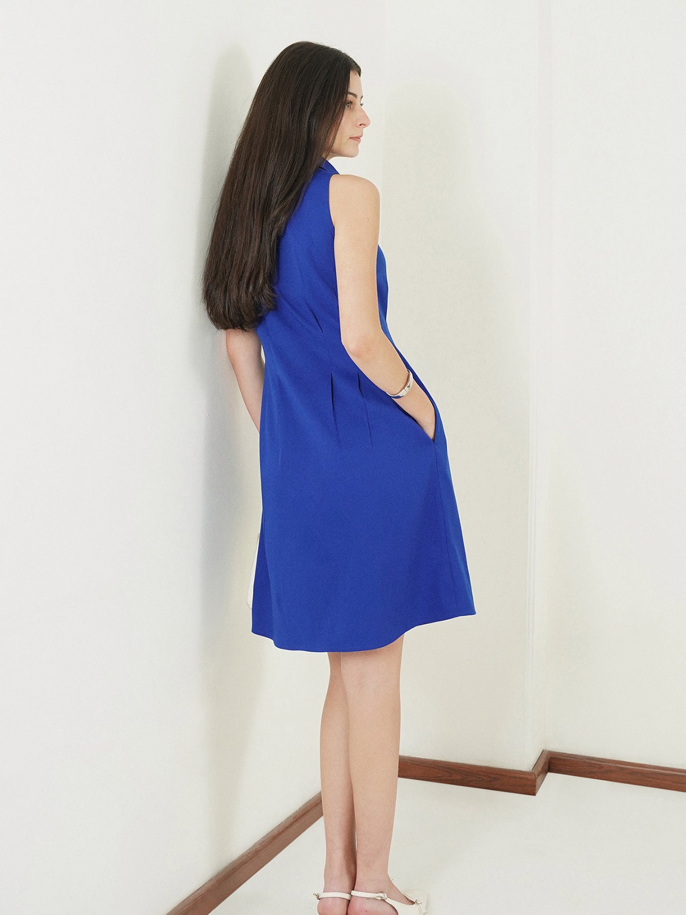 Button Down Fit and Flare Dress - Blue