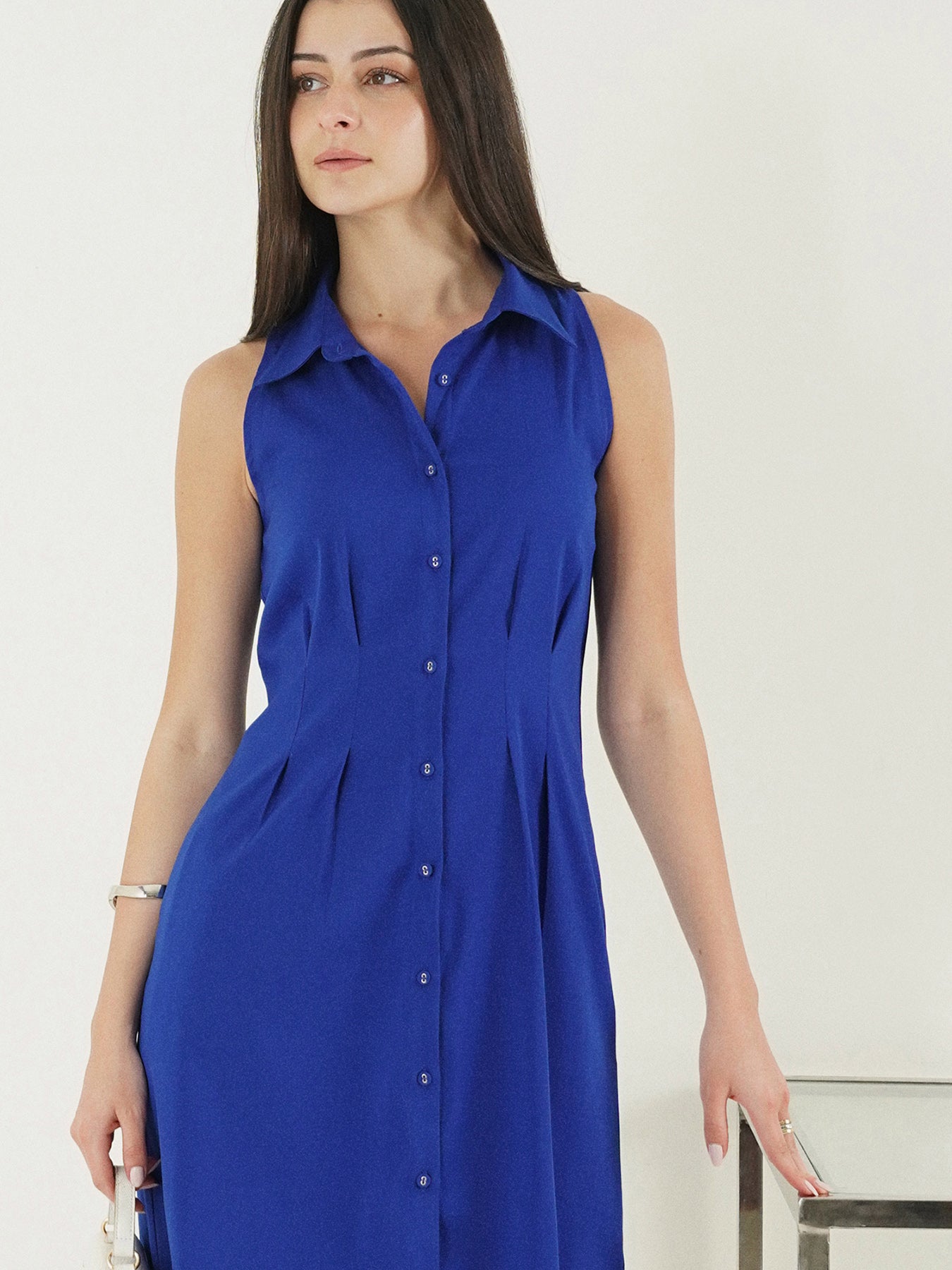 Button Down Fit and Flare Dress - Blue